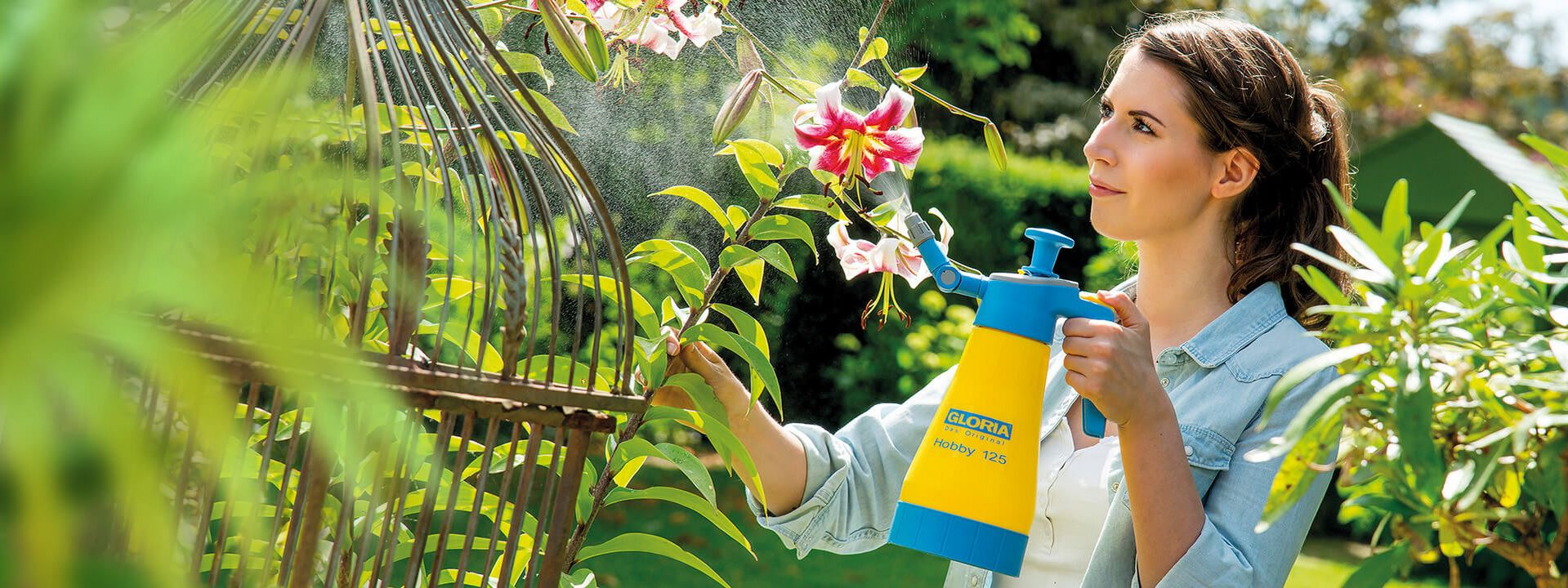 Plant protection & care